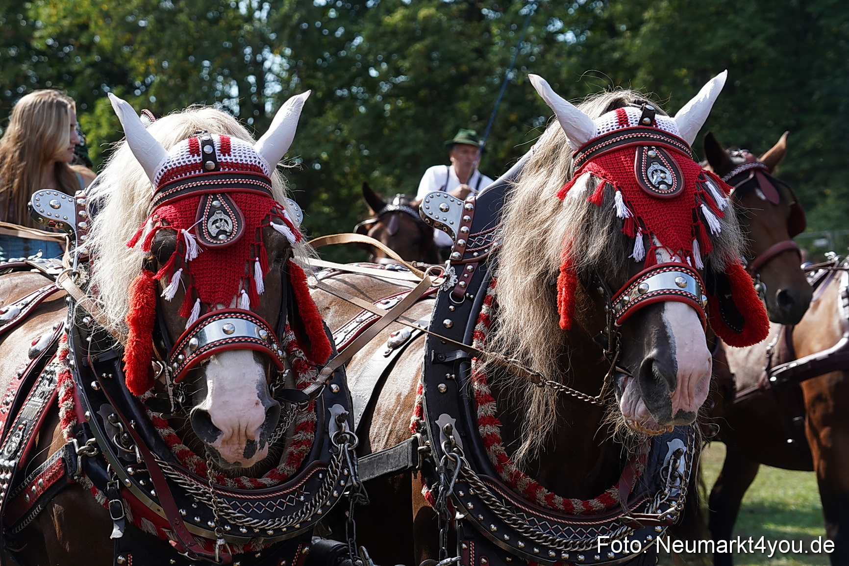 Pferde und Fohlenschau 2022 0215 